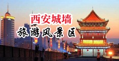 黑人和白人美女操淫穴中国陕西-西安城墙旅游风景区